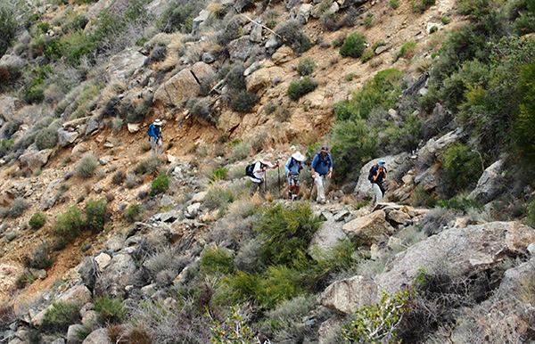 trail