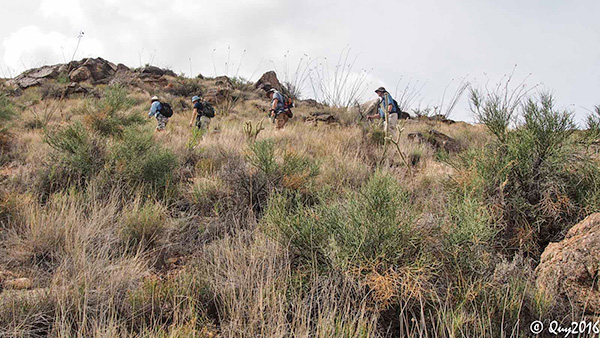 hikers