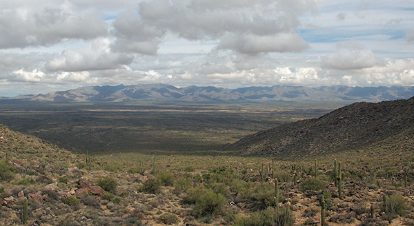 view