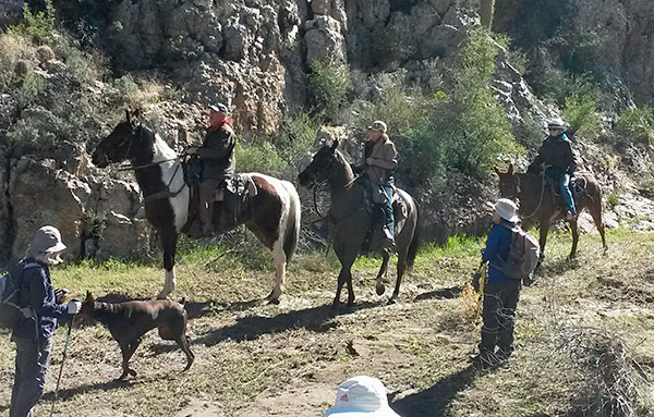 cavalry