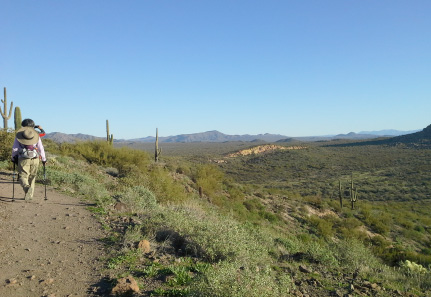 trail