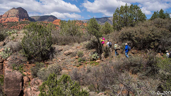 hikers