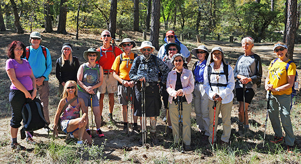 group