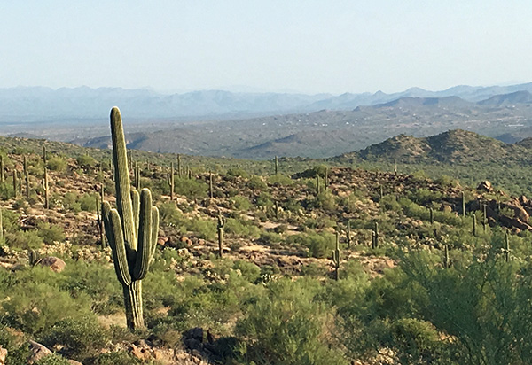 valley