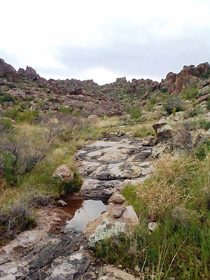 water