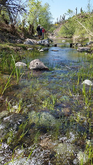 creek