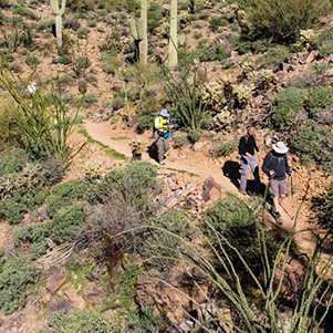 hikers