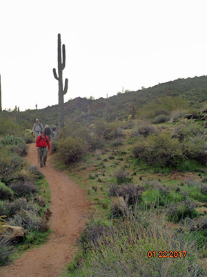 hikers