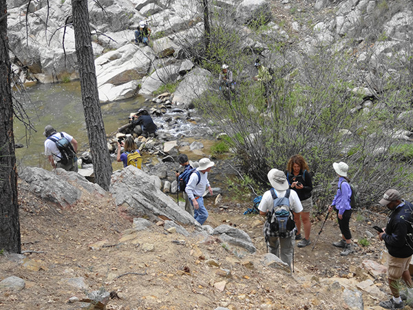 hikers
