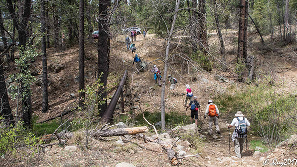 hikers