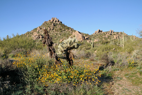hill
