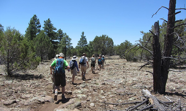 hikers