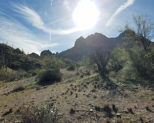 mountain