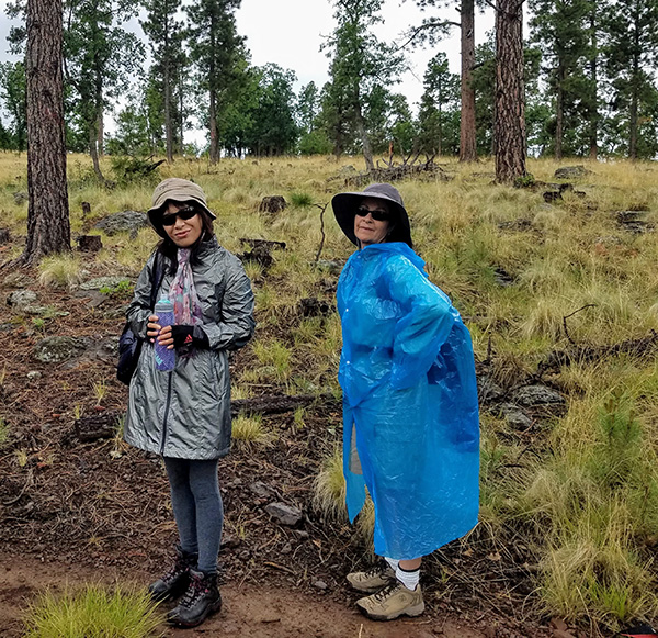 hikers