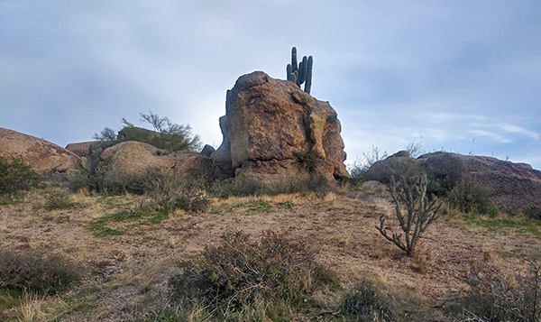 rock