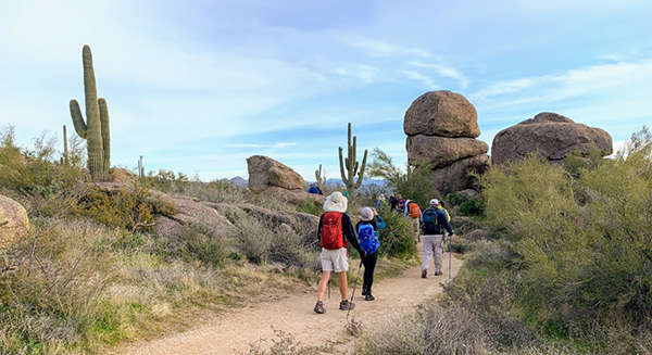 rocks