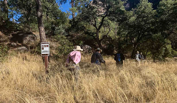 hikers