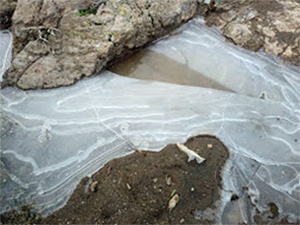 ice