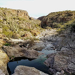 water