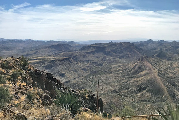 view