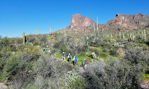 hikers