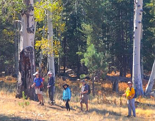 hikers
