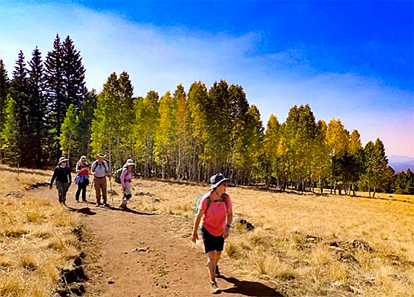 hikers