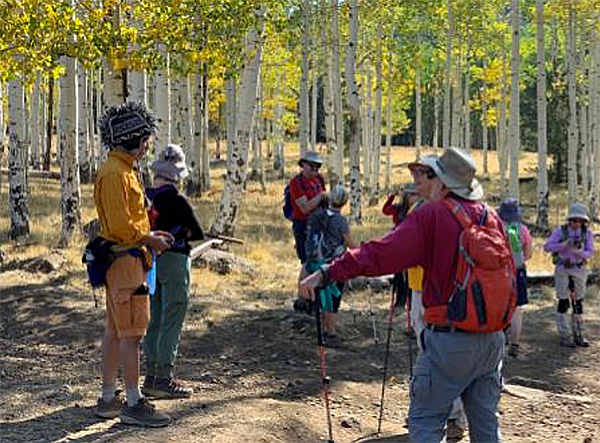hikers