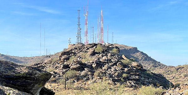 antennae