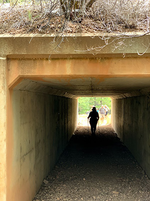 tunnel