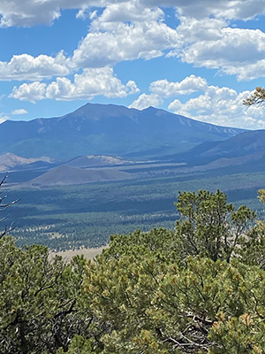 view