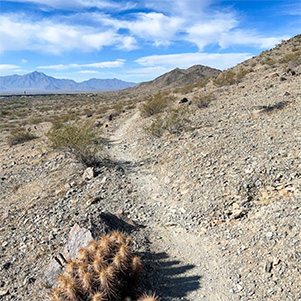 trail