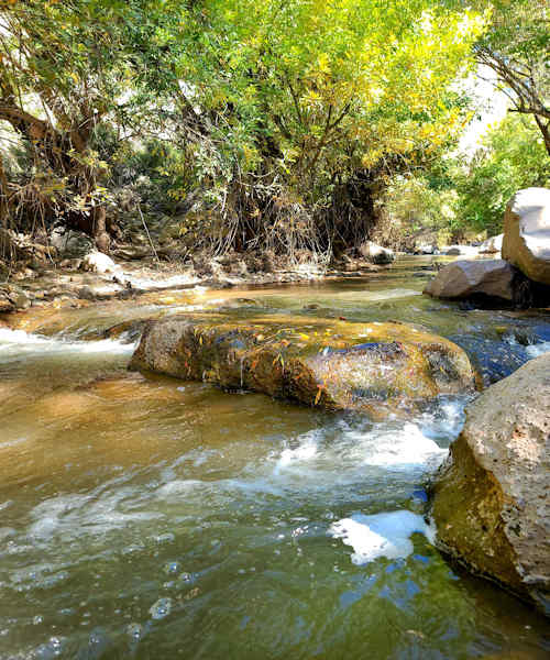 Downstream