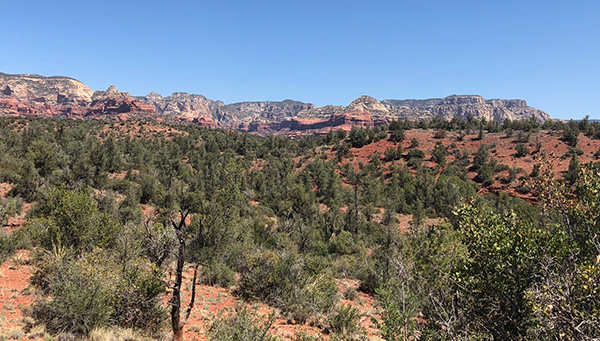 view
