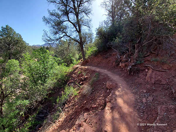 trail