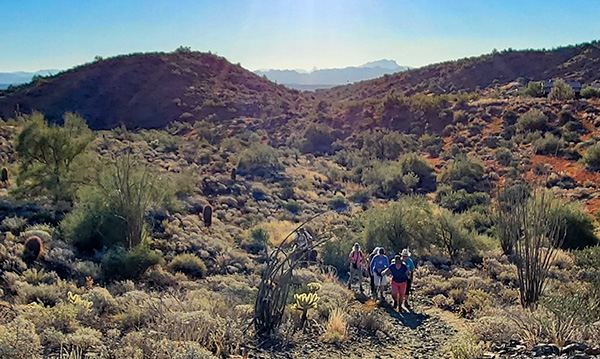 hikers