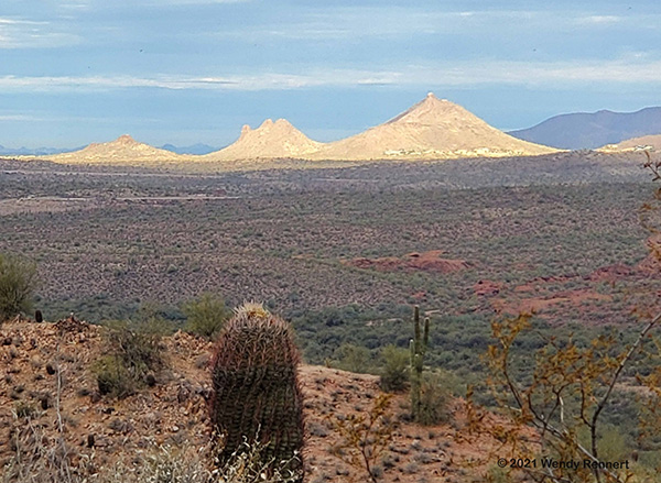 view