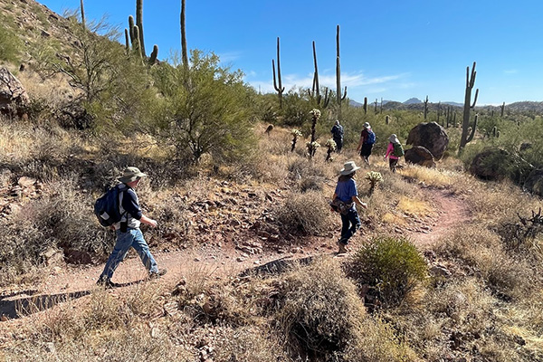 hikers