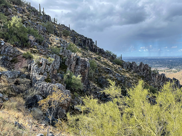 view