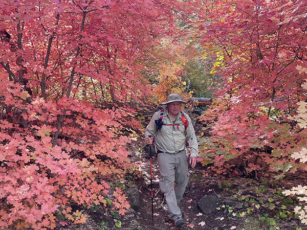 hikers