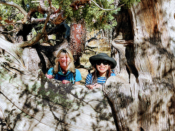 hikers