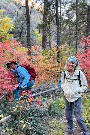 hikers