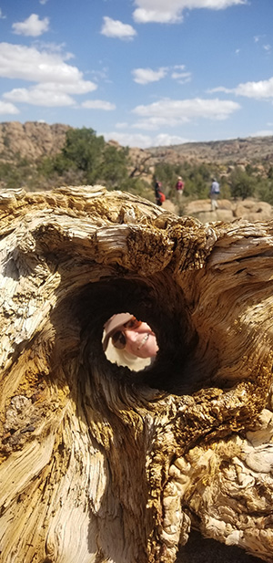 log