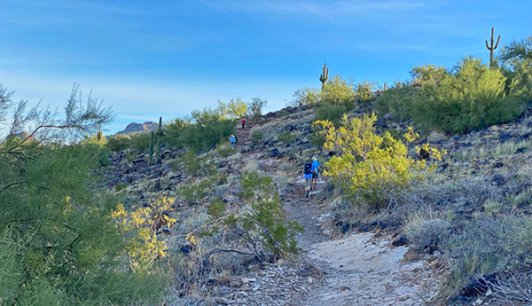 hikers