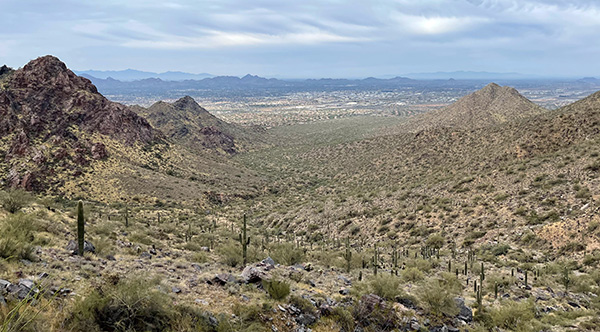 view