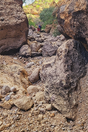 hikers