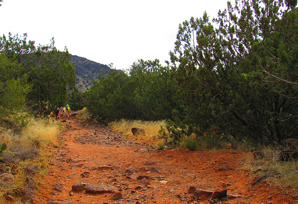 trail