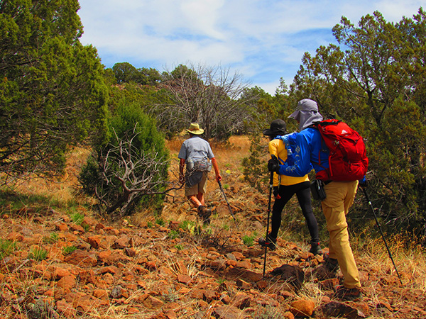 hikers