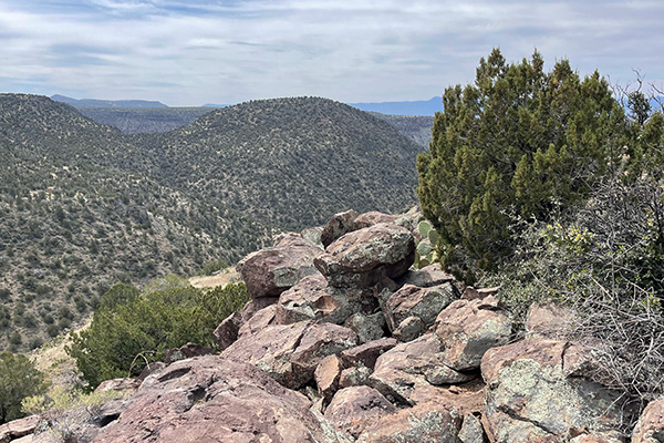 view