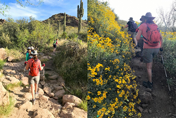 hikers